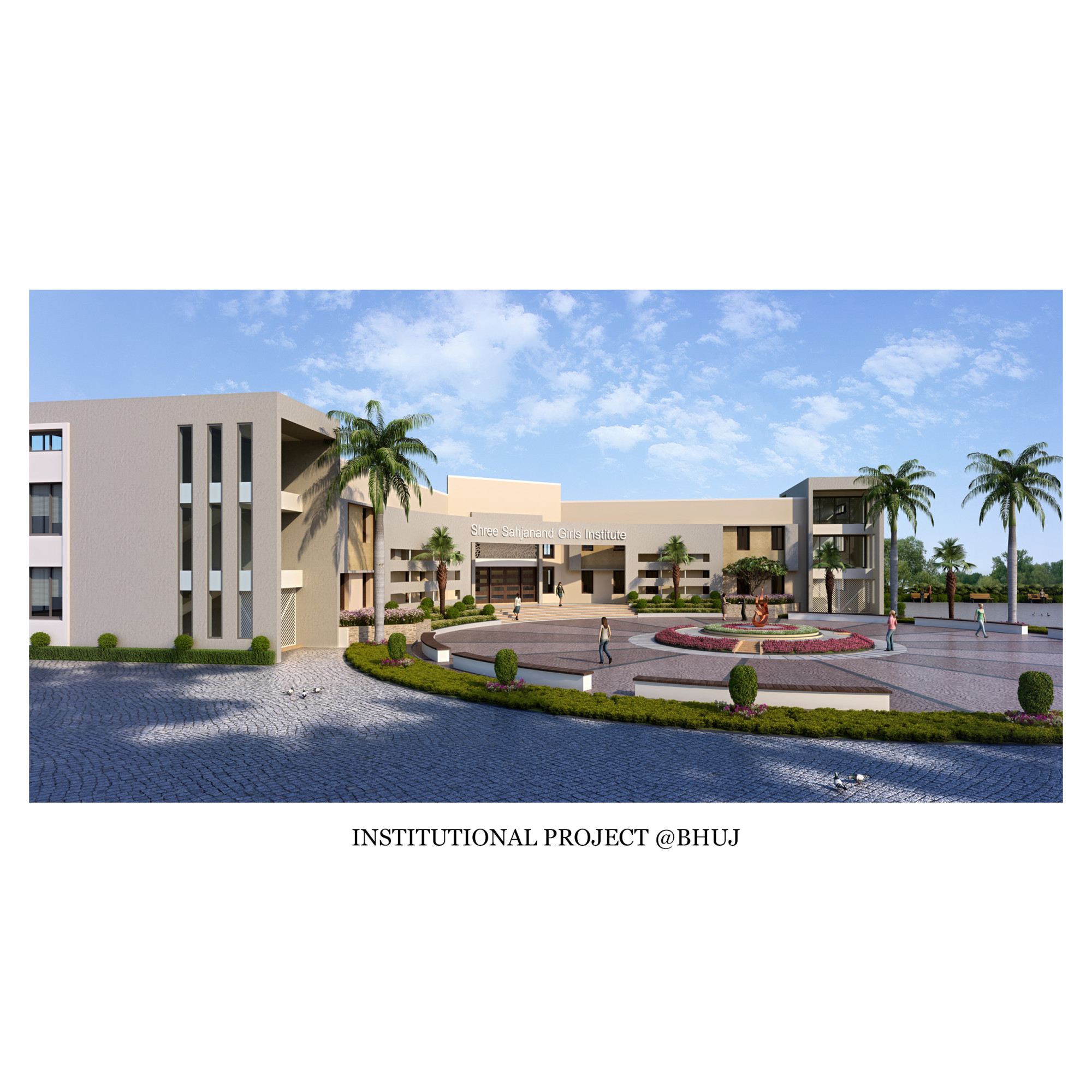Institutional Project